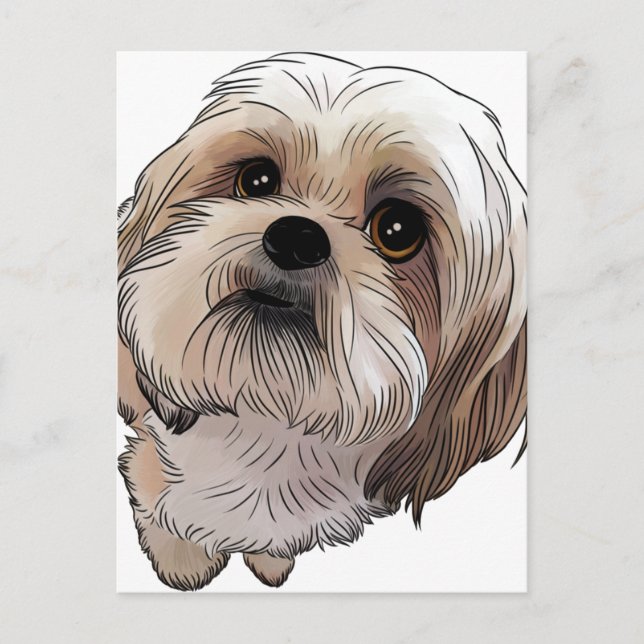 Malshi Mal-shi Postkarte (Vorderseite)