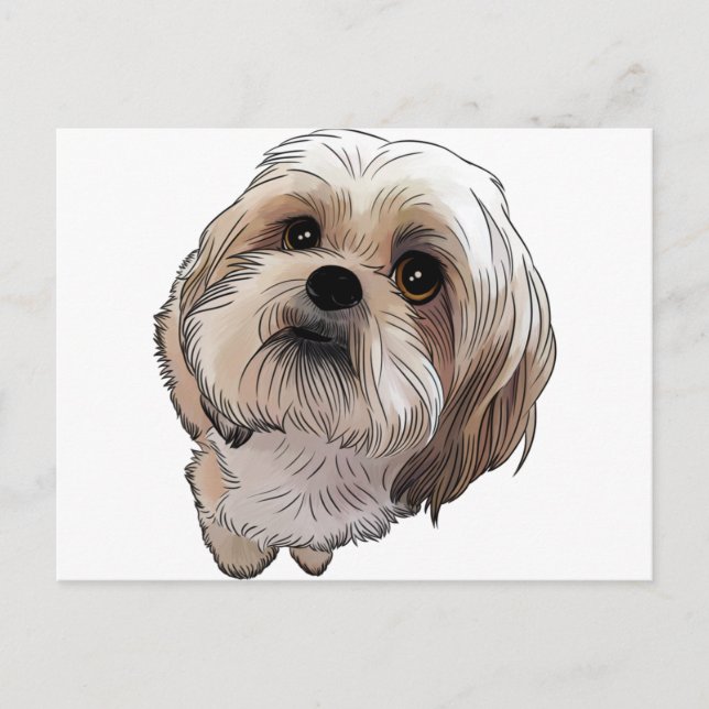 Malshi Mal-shi Postkarte (Vorderseite)