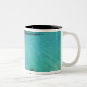 Malta, Comino-Insel, Die Blaue Lagune Zweifarbige Tasse