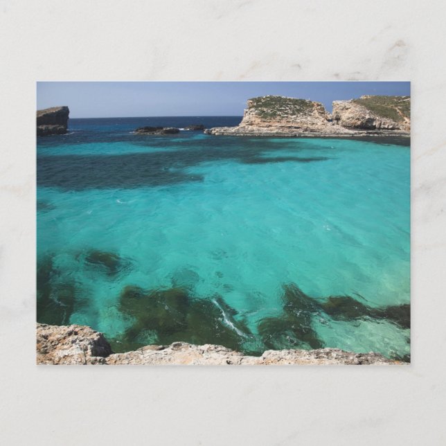 Malta, Comino Island, The Blue Lagoon Postkarte (Vorderseite)