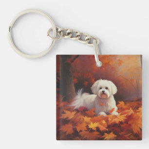 Maltais en automne Feuilles automne Inspiration
