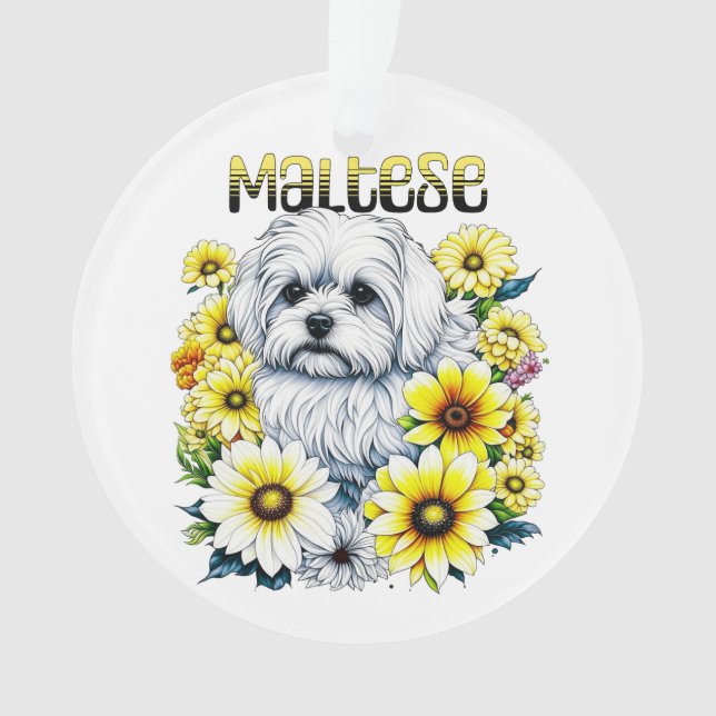 Maltais Petite : Gris de chien blanc en fleurs jau (devant)