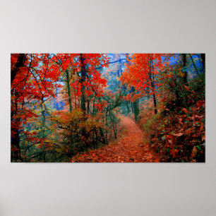 Malte Fotografie Wald Herbstflammweg Poster