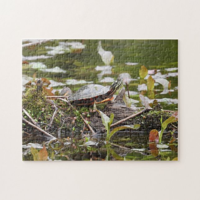 Malte Schildkröte beim Log in Pond (Horizontal)