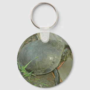 Malte Schildkröte (Chrysemys picta) Schlüsselanhänger