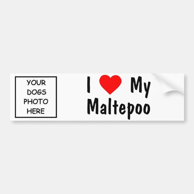 Maltepoo Autoaufkleber (Vorne)