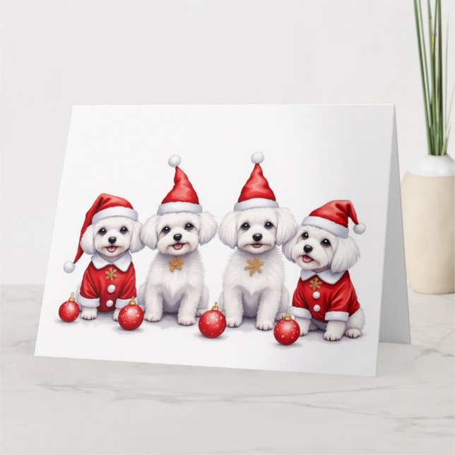 Maltese Christmas Dress Santa Hat Karte (Vorderseite)
