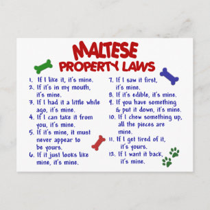 MALTESE-Eigentumsrecht 2 Postkarte