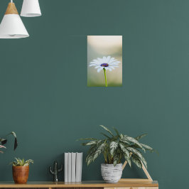 🌼 Maltese Serenity Poster