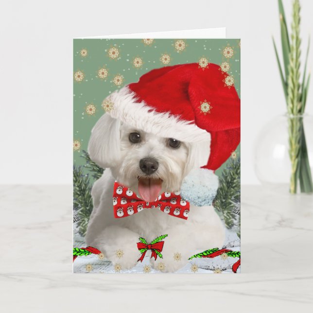 Maltese Souhaite Que Tu Joyeuses Carte De Noël (Devant)