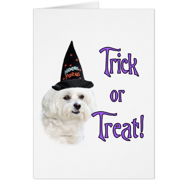 Maltese Trick (Devant)