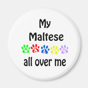 Maltese Walks Design Magnet