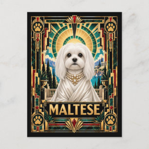 Malteser, Art Deco Hund Postkarte