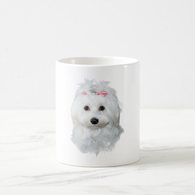 Malteser des Elegance Fluffy Beauty Verwandlungstasse (Mittel)