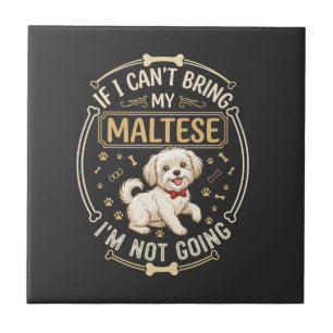 Malteser Geht Nicht Hund Rot Fliege Knochen Rahmen Fliese