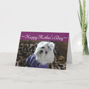 Malteser Geschenke Karte