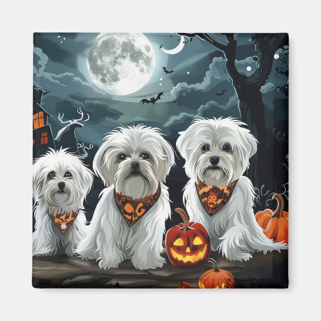 Malteser Halloween Spooky Magnet (Vorne)