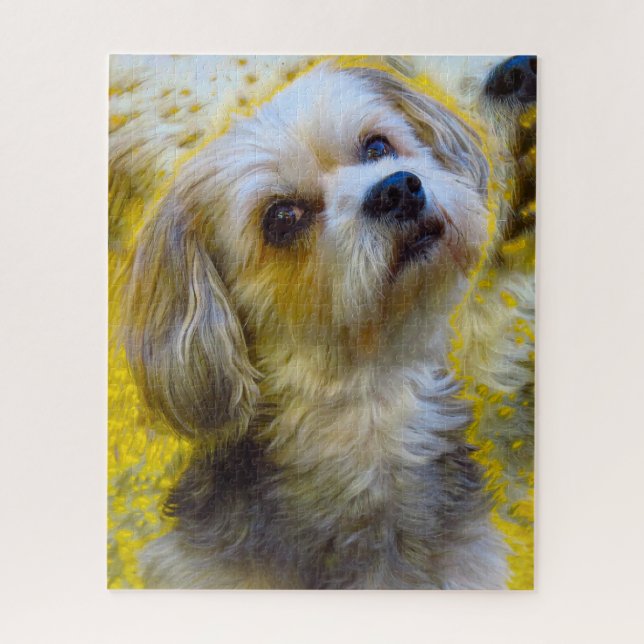 Malteser-Hund. (Vertikal)