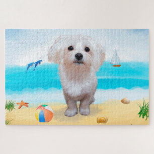 Malteser Hund am Strand