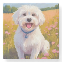 Malteser-Hund-Blumenfeld-Malerei