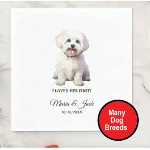 Malteser-Hund, den ich bei ihrer ersten Hochzeit l Serviette
