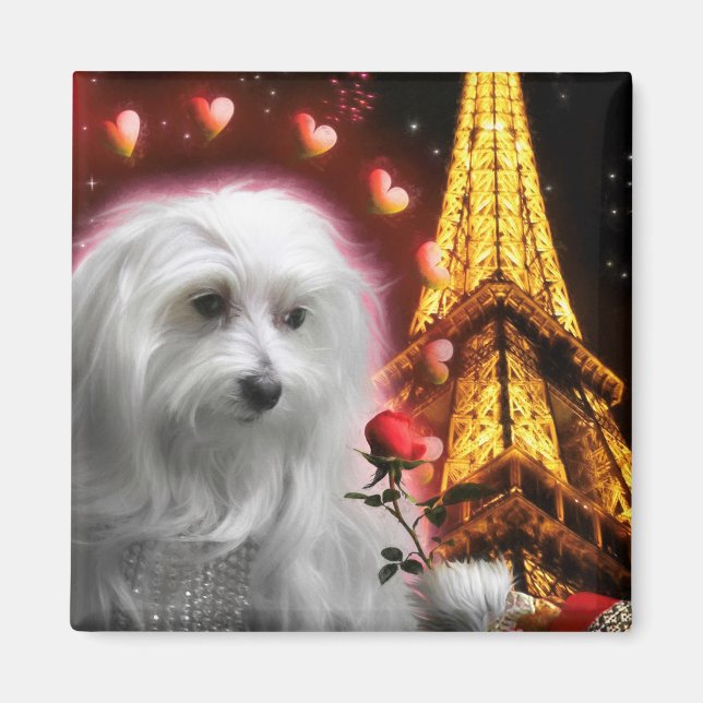 Malteser Hund Eiffelturm DER SPARK DER LIEBE! Magnet (Vorne)