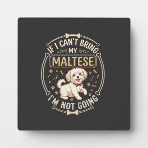 Malteser Hund geht nicht Rot Fliege Knochen Rahmen