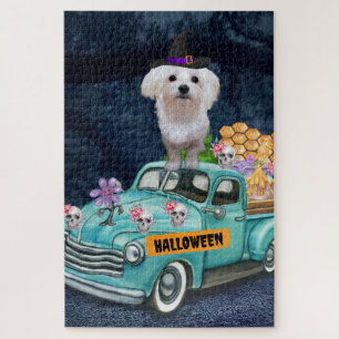 Malteser Hund Halloween Lkw Beängstigende Nacht