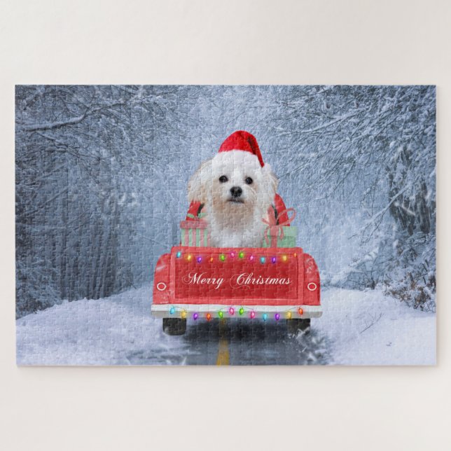 Malteser Hund im Schnee sitzend im Weihnachtswagen (Horizontal)
