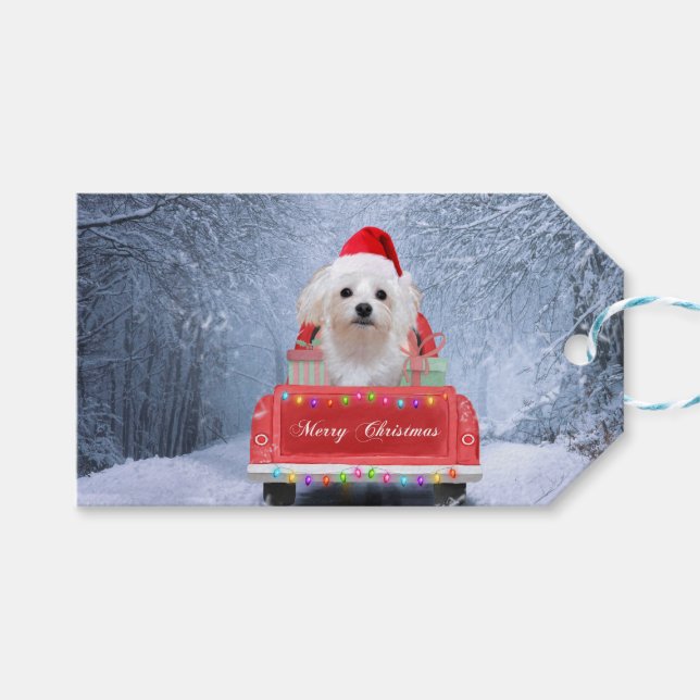 Malteser Hund im Schnee sitzend im Weihnachtswagen Geschenkanhänger (Vorderseite (Horizontal))