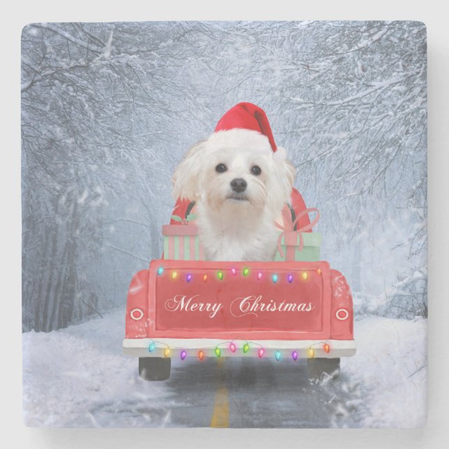 Malteser Hund im Schnee sitzend im Weihnachtswagen Steinuntersetzer (Vorderseite)