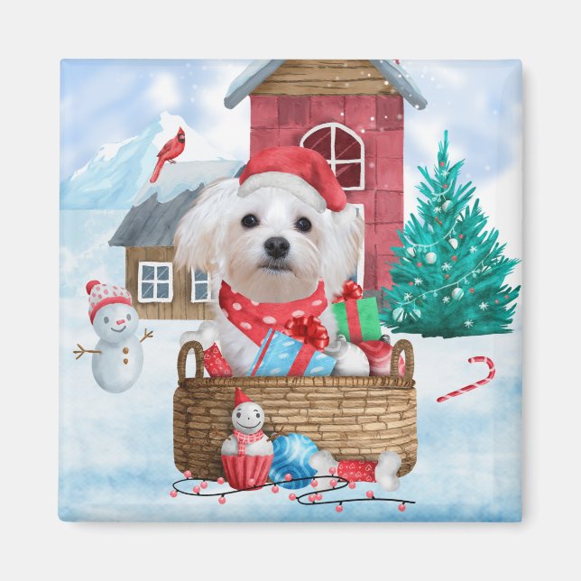 Malteser Hund im Schnee Weihnachtshaus Magnet (Vorne)