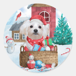 Malteser Hund im Schnee Weihnachtshaus Runder Aufkleber