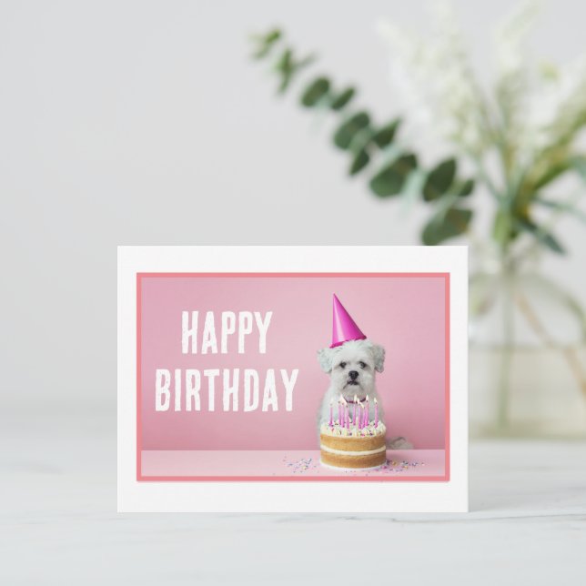 Malteser Hund in Party Hat Postcard Postkarte (Stehend Vorderseite)