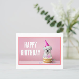 Malteser-Hund in Partyhut-Postkarte Postkarte
