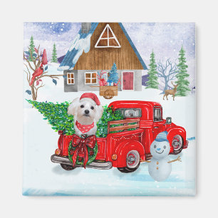 Malteser Hund in Weihnachten Lkw Schnee Magnet