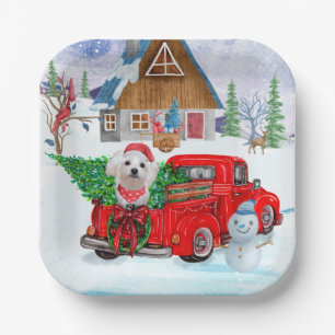 Malteser Hund in Weihnachten Lkw Schnee Pappteller