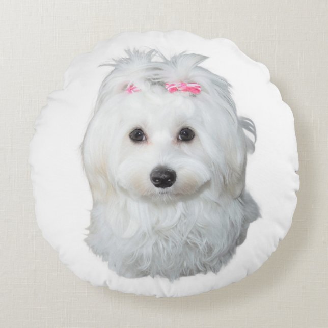 Malteser Hund mit rosa Bögen Rundes Kissen (Vorderseite)