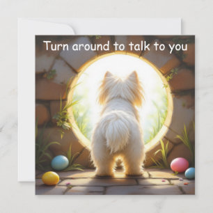 Malteser Hund - Ostern Feiertagskarte