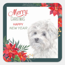Malteser Hund Poinsettia - Grenze Weihnachten Quadratischer Aufkleber