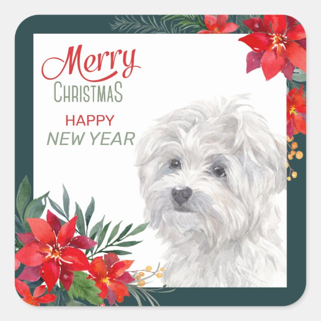 Malteser Hund Poinsettia - Grenze Weihnachten Quadratischer Aufkleber (Vorderseite)