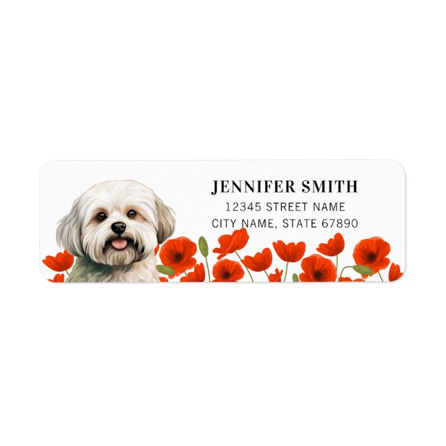 Malteser Hund-Rücksendeadressen-Aufkleber (Vorne)