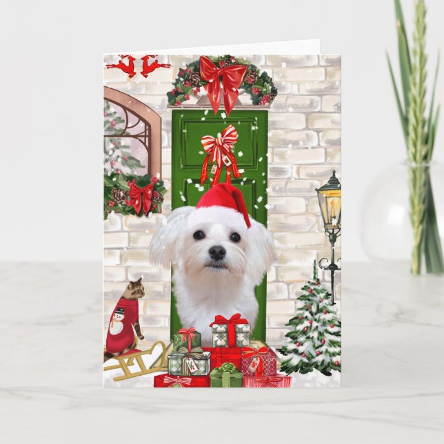 Malteser Hund Weihnachten Karte (Vorderseite)