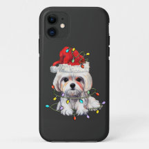 Malteser Hund Weihnachten, maltesischer Hund