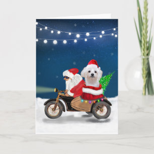 Malteser-Hund Weihnachten Santa Claus Karte