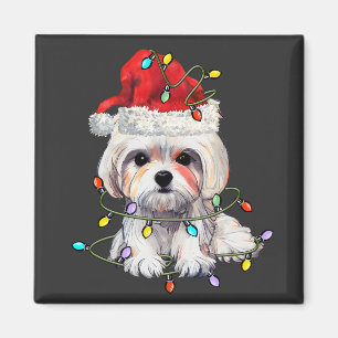 Malteser Hund Weihnachten, Xmas Malteser Hund Magnet