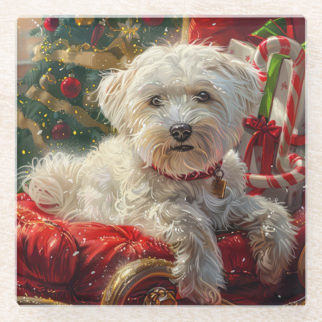 Malteser Hund Weihnachtsfest Glasuntersetzer (Vorderseite)