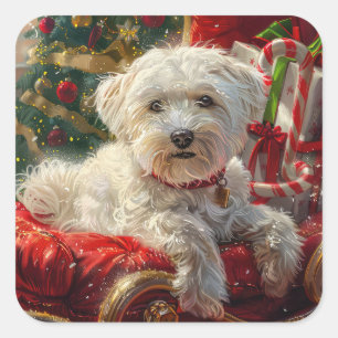 Malteser Hund Weihnachtsfestlich Quadratischer Aufkleber