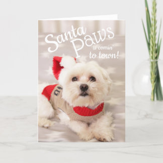 Malteser Hund Weihnachtskarte Feiertagskarte