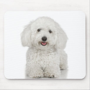 Malteser Hund White Mousepad